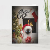 Ragdoll frohe Weihnachten zu allen (Vorderseite)