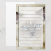 Ragdoll-Kätzchen Briefpapier (Vorne/Hinten)