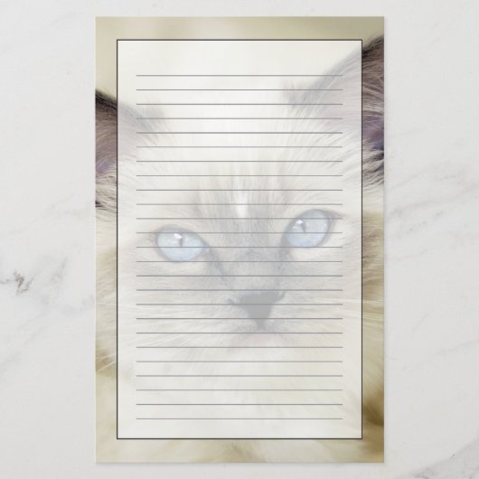 Ragdoll-Kätzchen Briefpapier (Vorderseite)