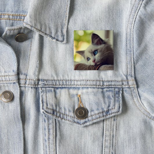 Ragdoll Kätzchen Button (Beispiel)