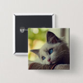 Ragdoll Kätzchen Button (Vorne & Hinten)