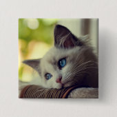 Ragdoll Kätzchen Button (Vorderseite)