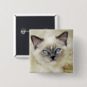 Ragdoll-Kätzchen Button (Vorne & Hinten)