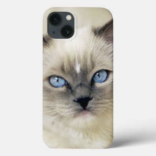 Ragdoll-Kätzchen Case-Mate iPhone Hülle