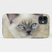 Ragdoll-Kätzchen Case-Mate iPhone Hülle (Rückseite (Horizontal))
