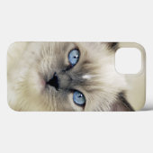 Ragdoll Kätzchen Case-Mate iPhone Hülle (Rückseite (Horizontal))