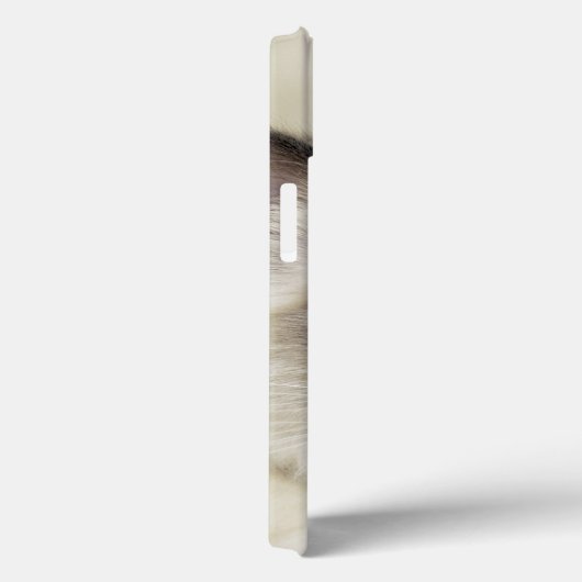 Ragdoll Kätzchen Case-Mate iPhone Hülle (Rückseite / Rechts)