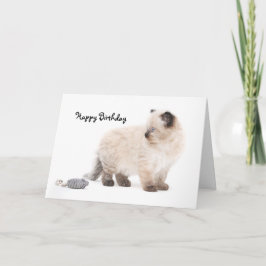 Ragdoll Kätzchen Geburtstags-Karte Karte
