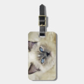 Ragdoll Kätzchen Gepäckanhänger (Vorderseite vertikal)