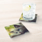 Ragdoll Kätzchen Glasuntersetzer (Schrägansicht)