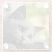 Ragdoll Kätzchen Glasuntersetzer (Rückseite)