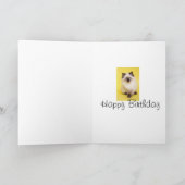 Ragdoll Kätzchen-Grußkarte Karte (Innenseite)