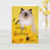 Ragdoll Kätzchen-Grußkarte Karte (Gelbe Blume)