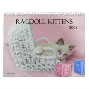 Ragdoll Kätzchen-Kalender Kalender