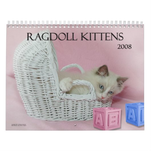 Ragdoll Kätzchen-Kalender Kalender (Titelbild)