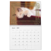 Ragdoll Kätzchen-Kalender Kalender (Mär 2027)
