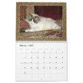 Ragdoll Kätzchen-Kalender Kalender (Feb 2027)
