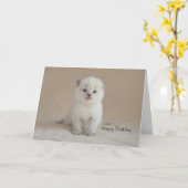 Ragdoll Kätzchen Karte (Gelbe Blume)