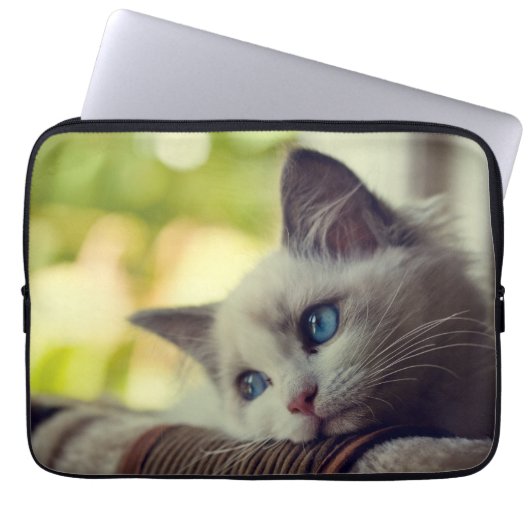 Ragdoll Kätzchen Laptopschutzhülle (Vorderseite)