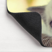 Ragdoll Kätzchen Mousepad (Ecke)