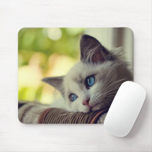 Ragdoll Kätzchen Mousepad (Mit Mouse)