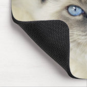 Ragdoll-Kätzchen Mousepad (Ecke)