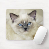 Ragdoll-Kätzchen Mousepad (Mit Mouse)