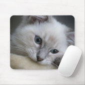 ragdoll Kätzchen mousepad (Mit Mouse)