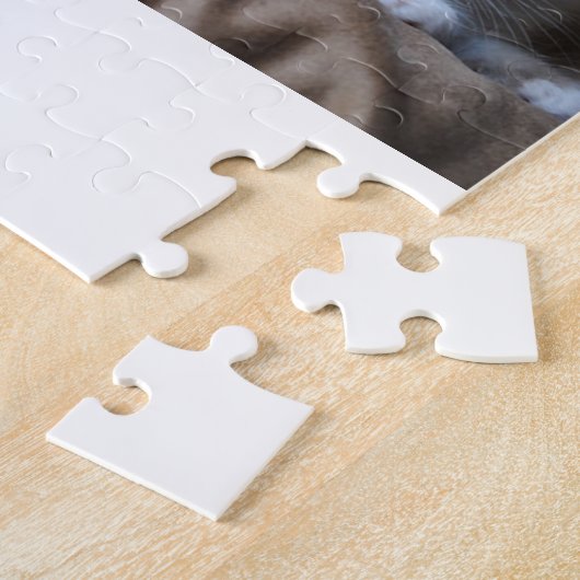 Ragdoll Kätzchen Puzzle (Seite)