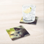 Ragdoll Kätzchen Rechteckiger Pappuntersetzer (Vor Ort)