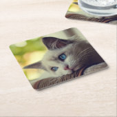 Ragdoll Kätzchen Rechteckiger Pappuntersetzer (angewinkelt)