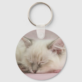 Ragdoll Kätzchen Schlüsselanhänger