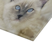 Ragdoll-Kätzchen Schneidebrett (Ecke)