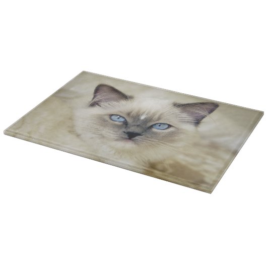 Ragdoll-Kätzchen Schneidebrett (Ecke)