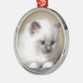 Ragdoll Kätzchen Silbernes Ornament (Links)