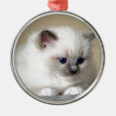 Ragdoll Kätzchen Silbernes Ornament (Vorne)