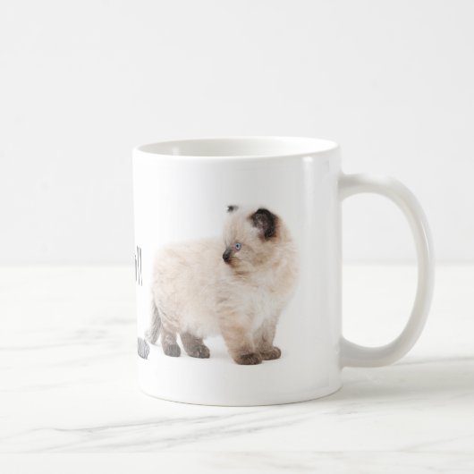 Ragdoll Kätzchen-Skizze-Tasse Kaffeetasse (Rechts)