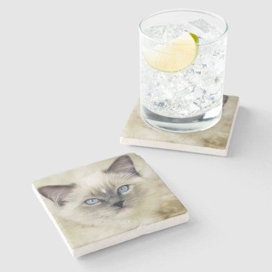 Ragdoll Kätzchen Steinuntersetzer (Seitenansicht)