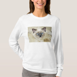 Ragdoll-Kätzchen T-Shirt