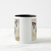 Ragdoll-Kätzchen Tasse (Zentrum)