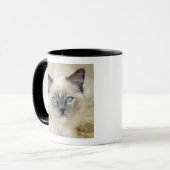 Ragdoll-Kätzchen Tasse (Vorderseite Links)