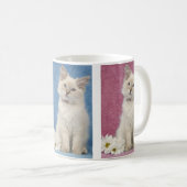 Ragdoll Kätzchen-Tasse Kaffeetasse (VorderseiteRechts)