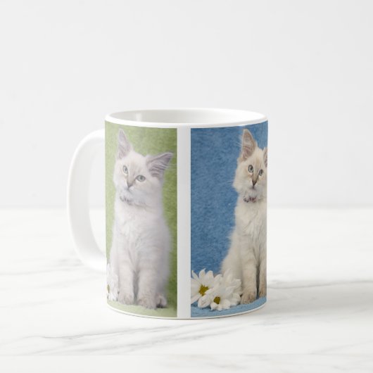Ragdoll Kätzchen-Tasse Kaffeetasse (Vorderseite Links)