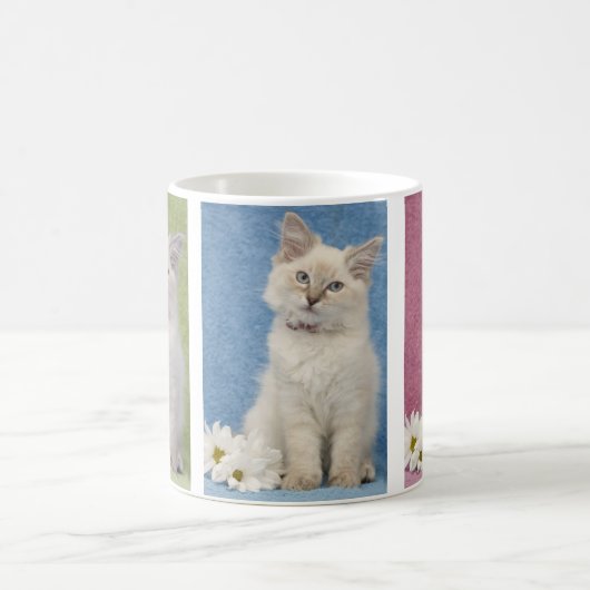 Ragdoll Kätzchen-Tasse Kaffeetasse (Mittel)