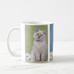 Ragdoll Kätzchen-Tasse Kaffeetasse
