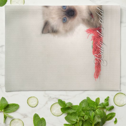 Ragdoll Kätzchen-Teetuch Küchentuch (Gefaltet)