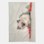 Ragdoll Kätzchen-Teetuch Küchentuch (Vertikal)