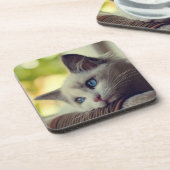 Ragdoll Kätzchen Untersetzer (Linke Seite)