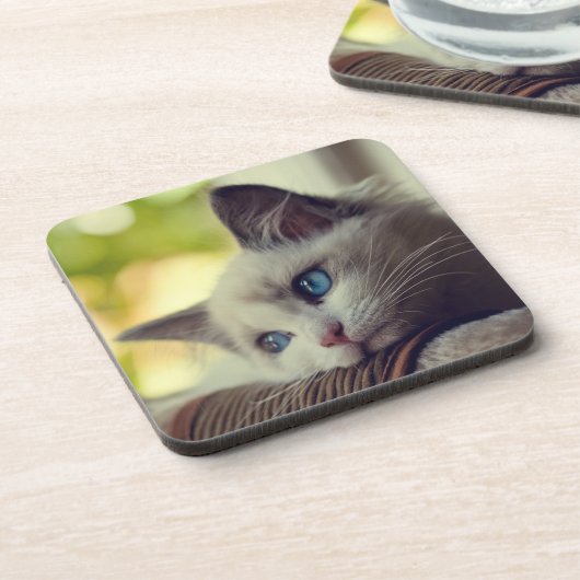 Ragdoll Kätzchen Untersetzer (Linke Seite)