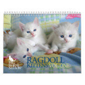 Ragdoll Kätzchen Vol. Ein Kalender (Titelbild)